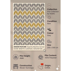 Grey Arlo AR06 Contemporary Rug 200x300cm Premium Living Room Asiatic RR450