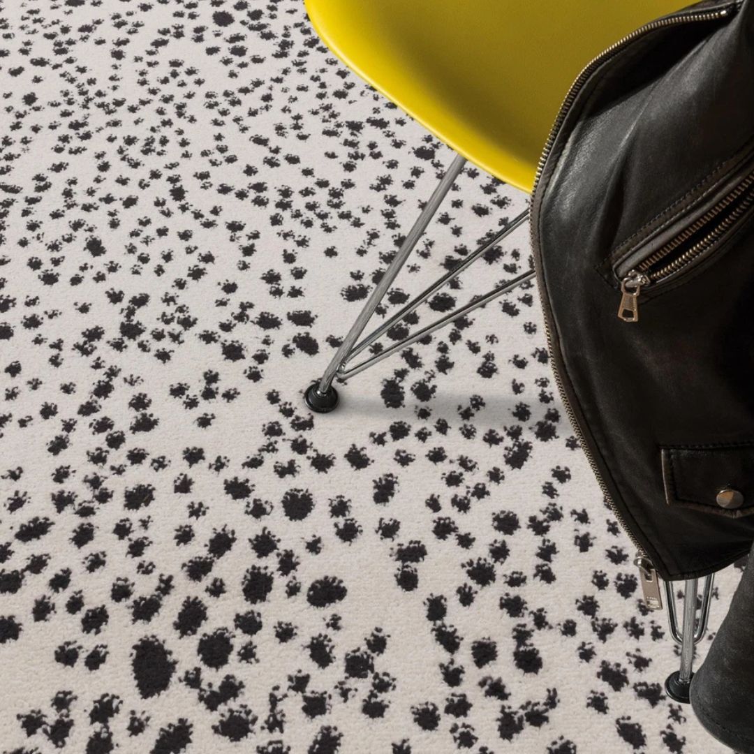 Black Muse Spotty Contemporary Rug 80x150cm Premium Living Room Asiatic RRP290